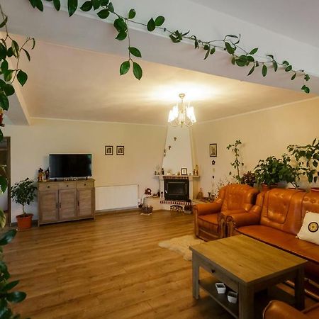 Casa Florilor Hotel Árgyasudvarhely Kültér fotó