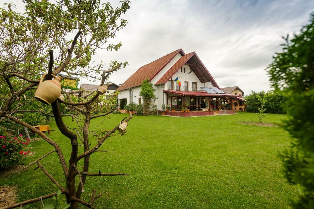 Casa Florilor Hotel Árgyasudvarhely Kültér fotó