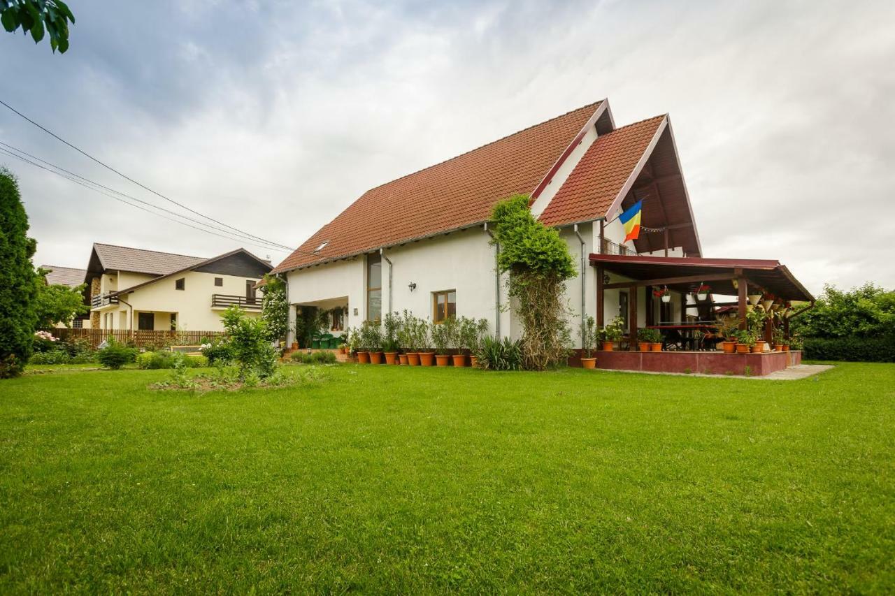 Casa Florilor Hotel Árgyasudvarhely Kültér fotó