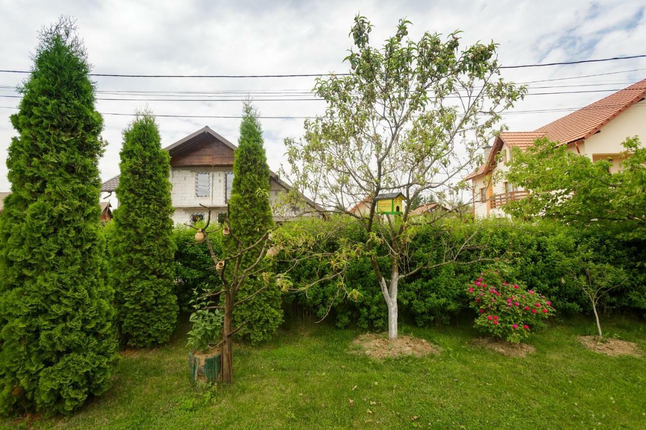 Casa Florilor Hotel Árgyasudvarhely Kültér fotó