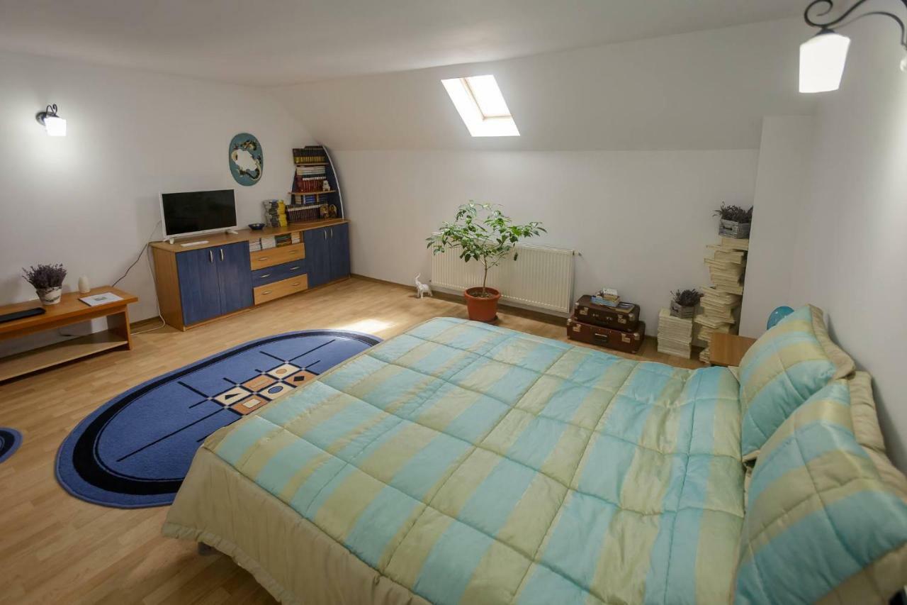 Casa Florilor Hotel Árgyasudvarhely Kültér fotó